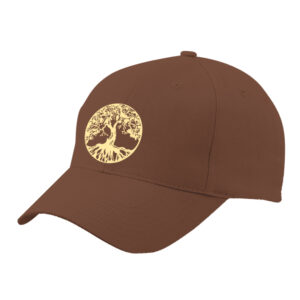 Cap | Bruin