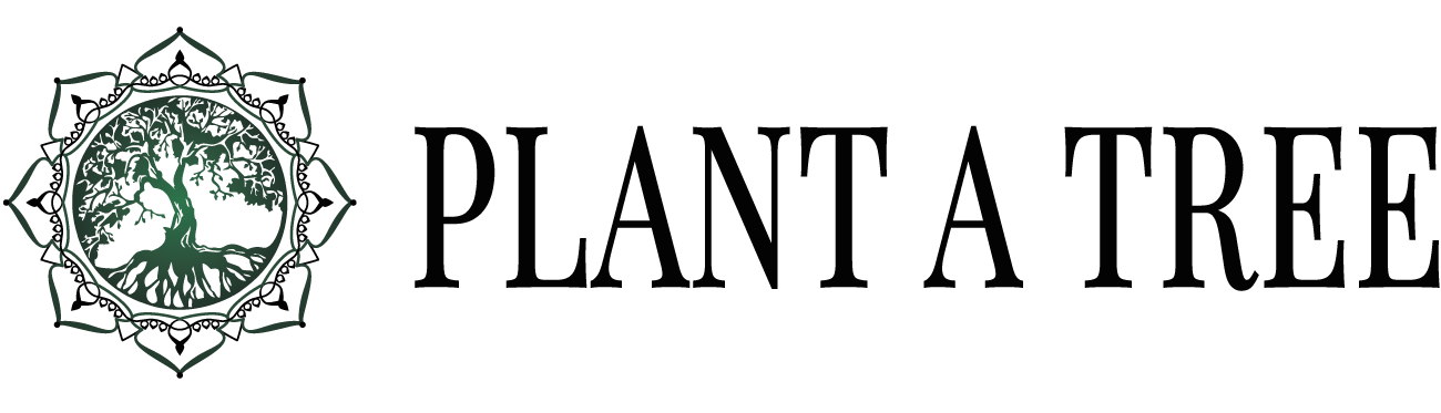 Plant a Tree