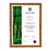 Plant a Tree certificaat op naam met bosafbeelding, certificaatnummer, datum, handtekening en zegel.