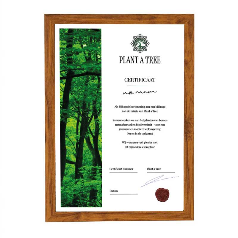 Plant a Tree certificaat op naam met bosafbeelding, certificaatnummer, datum, handtekening en zegel.