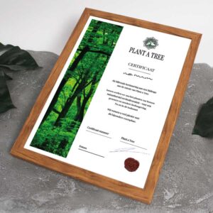 Ingelijst persoonlijk Plant a Tree certificaat op naam met bosafbeelding, certificaatnummer, handtekening en zegel.
