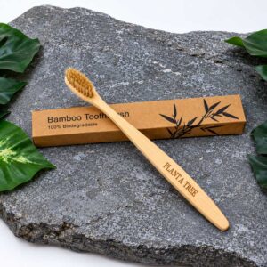 Bamboe tandenborstel met Plant a Tree gravure op donkere steen met groene bladeren
