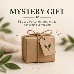 Mystery Gift van Plant a Tree met duurzaam verpakt cadeautje en de tekst ‘Bij deze bestelling ontvang je een kleine verrassing’