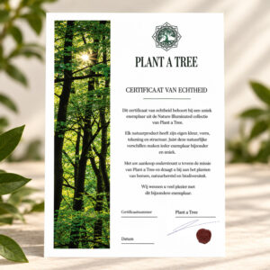 Certificaat van echtheid van Plant a Tree voor een uniek exemplaar uit de Nature Illuminated collectie.