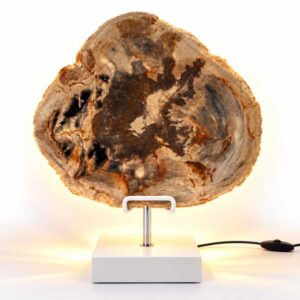 Versteend hout lamp Canyon op zwarte standaard met natuurlijke bruin- en roodtinten