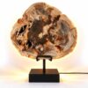 Versteend hout lamp Canyon op zwarte standaard met natuurlijke bruin- en roodtinten