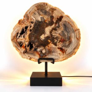 Versteend hout lamp Canyon op zwarte standaard met natuurlijke bruin- en roodtinten