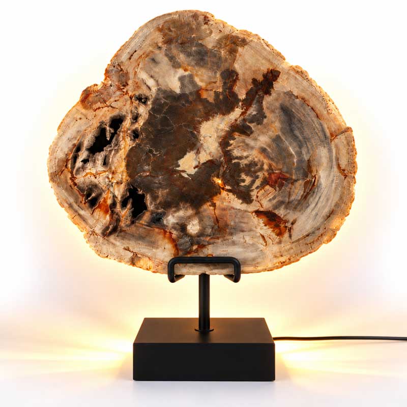 Versteend hout lamp Canyon op zwarte standaard met natuurlijke bruin- en roodtinten