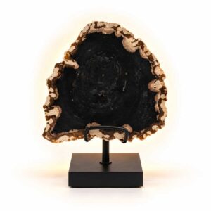Versteend Hout Lamp Eclipse met donker hart en warme gloed op zwarte standaard