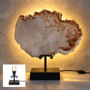 Versteend Hout Lamp Sahara met zwarte voet, warme achtergrondverlichting en natuurlijke steenstructuur tegen een betonnen wand.