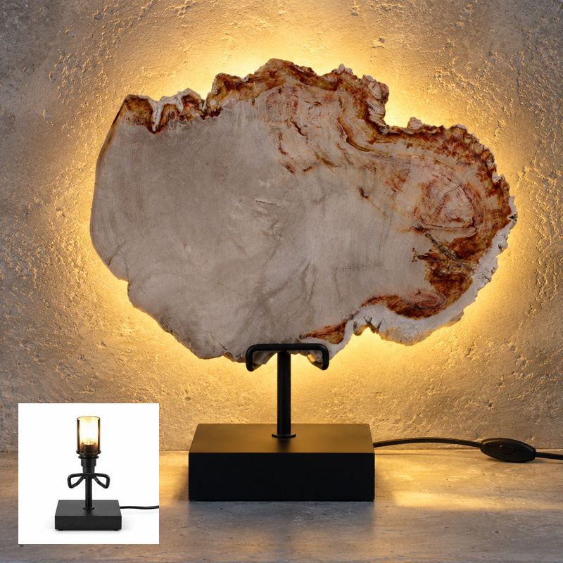 Versteend Hout Lamp Sahara met zwarte voet, warme achtergrondverlichting en natuurlijke steenstructuur tegen een betonnen wand.