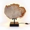 Versteend Hout Lamp Sahara met lichte natuurlijke houtstructuur, zwarte voet en warme achtergrondverlichting.
