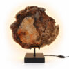Versteend Hout Lamp Terra met zwarte voet, natuurlijke houtstructuur en warme verlichting achter de steen.