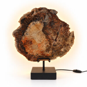 Versteend Hout Lamp Terra met zwarte voet, natuurlijke houtstructuur en warme verlichting achter de steen.