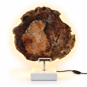 Versteend Hout Lamp Terra met witte voet, natuurlijke houtstructuur en warme verlichting achter de steen.