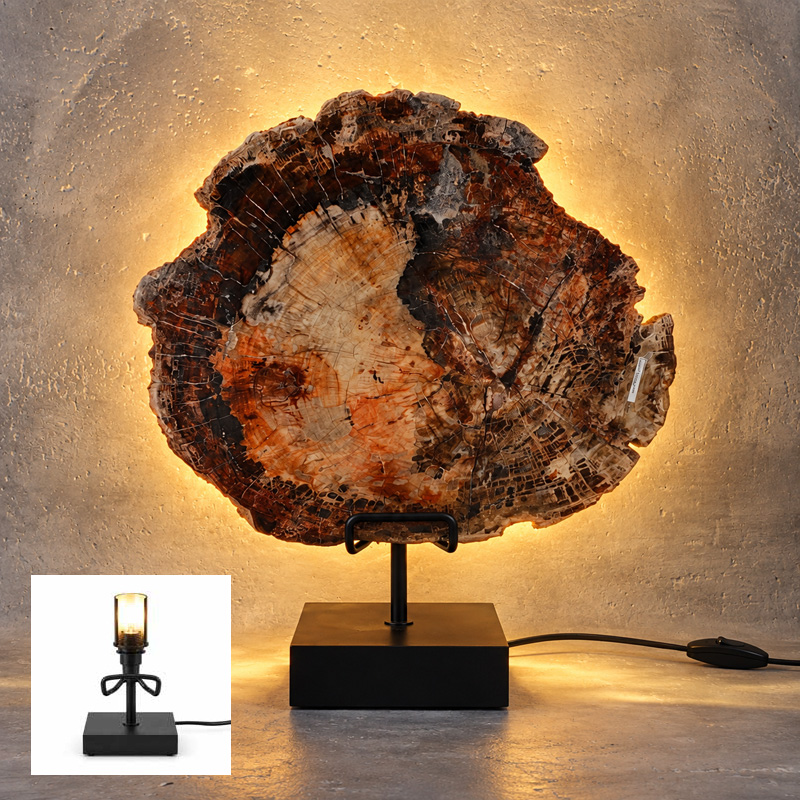 Versteend Hout Lamp Terra met zwarte voet en warme achtergrondverlichting tegen een betonnen wand.