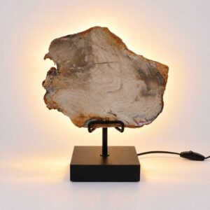 Versteend hout lamp Timber met zwarte voet en warme achterverlichting