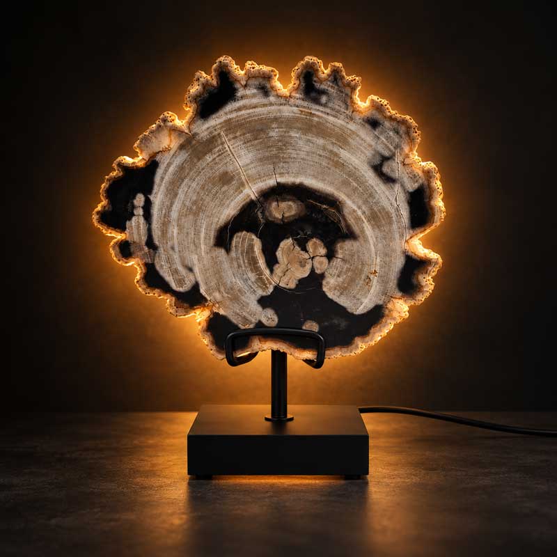 Versteend Hout Lamp Tundra met zwarte standaard en warme achterverlichting