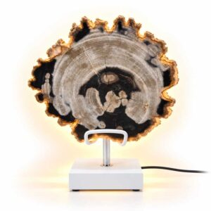 Versteend Hout Lamp Tundra met grijs-zilveren jaarringen, witte standaard en warme gloed