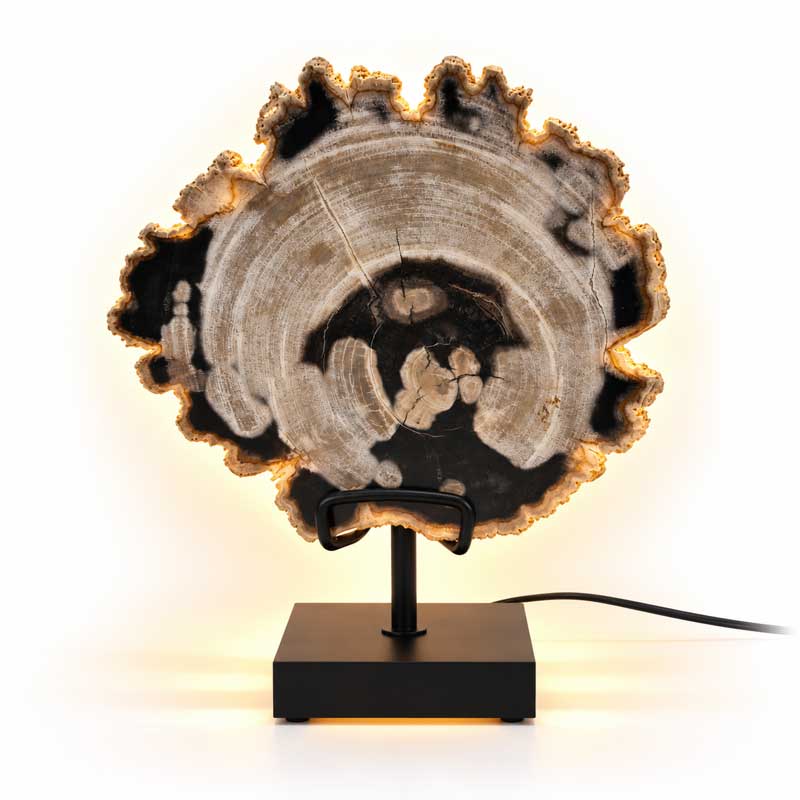 ersteend Hout Lamp Tundra met grijs-zilveren jaarringen en warme gloed op zwarte standaard