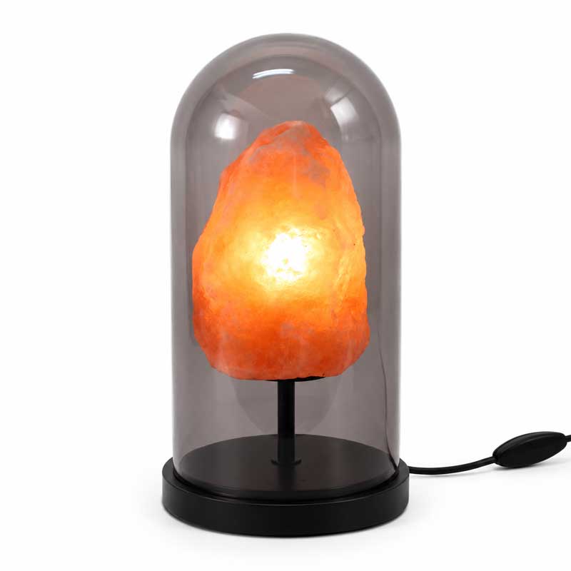 Zoutlamp Aurora onder glazen stolp met zwarte voet – Plant a Tree