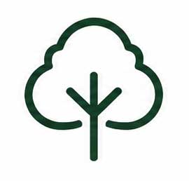 Groen boom icoon als symbool voor bomen planten en natuurherstel bij Plant a Tree.